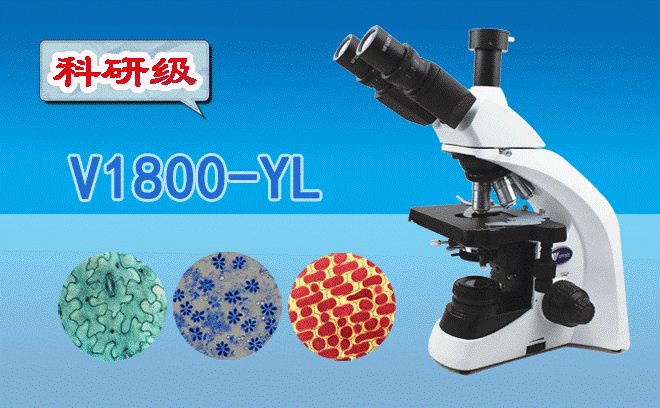 1770192151173716.png 检验科医用显微镜.png